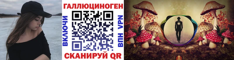 Псилоцибиновые грибы MAGIC MUSHROOMS  кракен зеркало  Выборг 