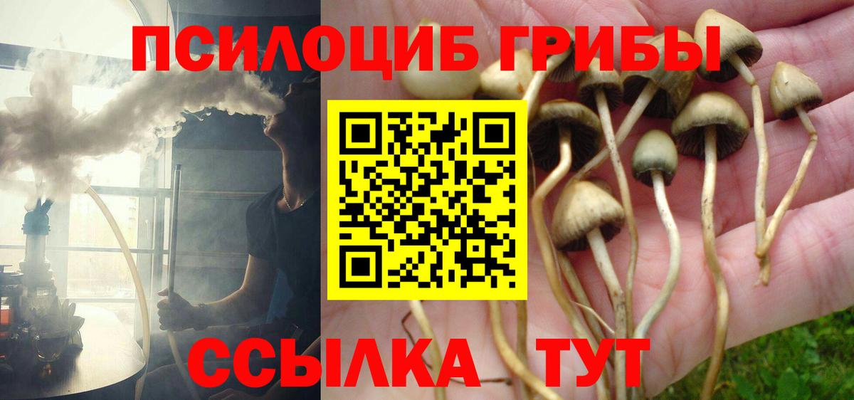 Псилоцибиновые грибы прущие грибы Выборг