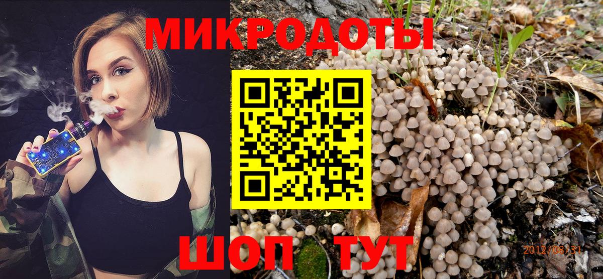 Псилоцибиновые грибы Psilocybe  Вход с VPN  Галлюциногенные грибы Cubensis  Выборг 